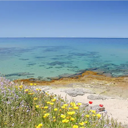Stunning In Punta Su Turrione Apartment
